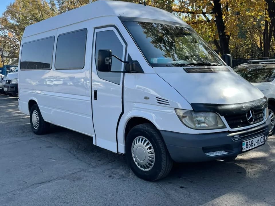 Катафалк Mercedes-Benz Sprinter, Базовый класс: вид снаружи